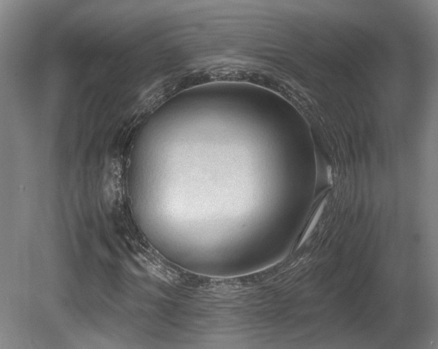 X0000079280964200611171021