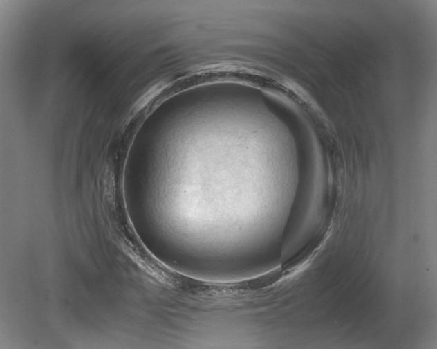 X0000079280969200611171021