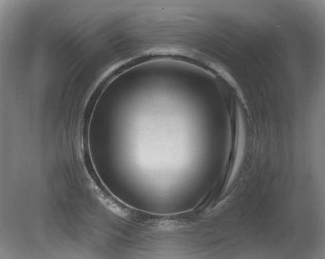 X0000079280984200611171021