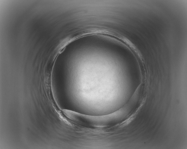 X0000079281001200611171020