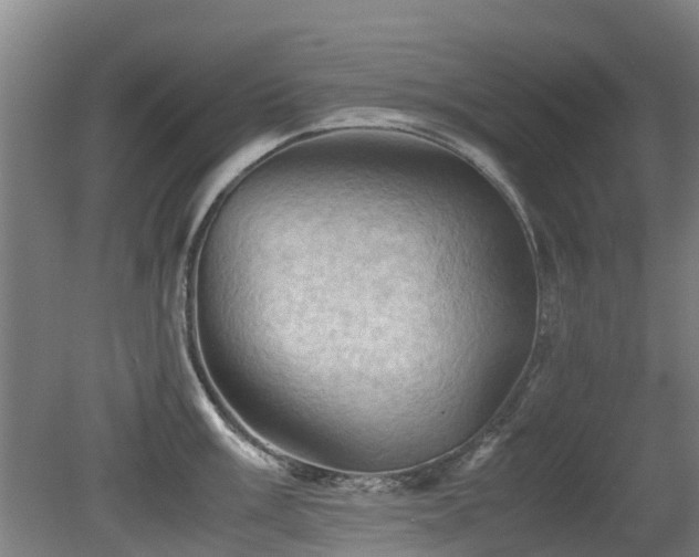 X0000079281003200611171020