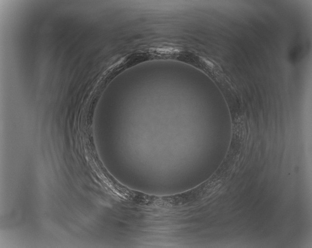 X0000079281009200611171019