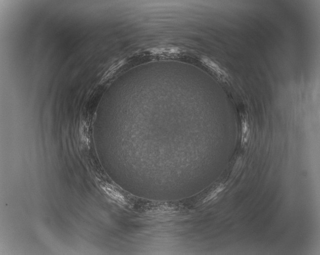 X0000079281010200611171019