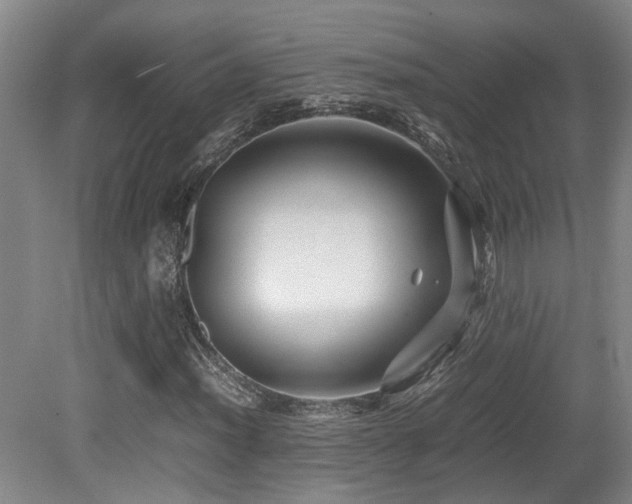 X0000079281012200611171020