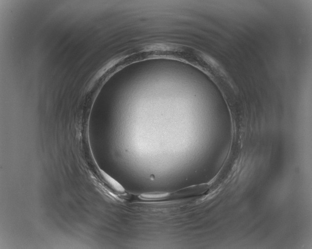 X0000079281017200611171020