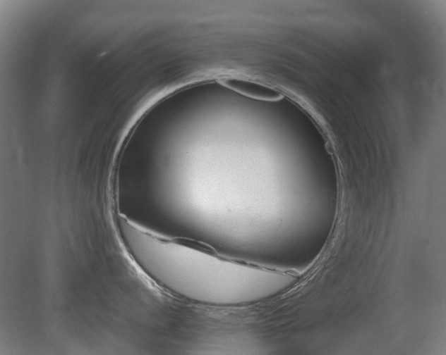 X0000079281056200611171020