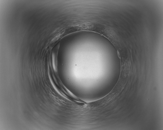 X0000079281058200611171019