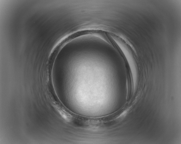 X0000079281069200611171019