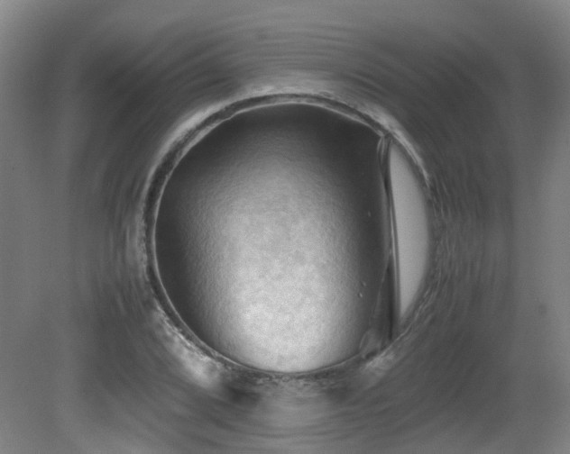 X0000079281072200611171019