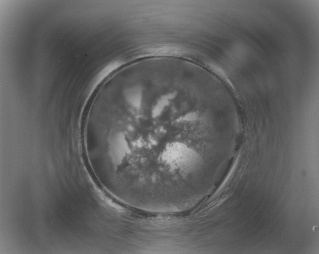 X0000079281087200611171019