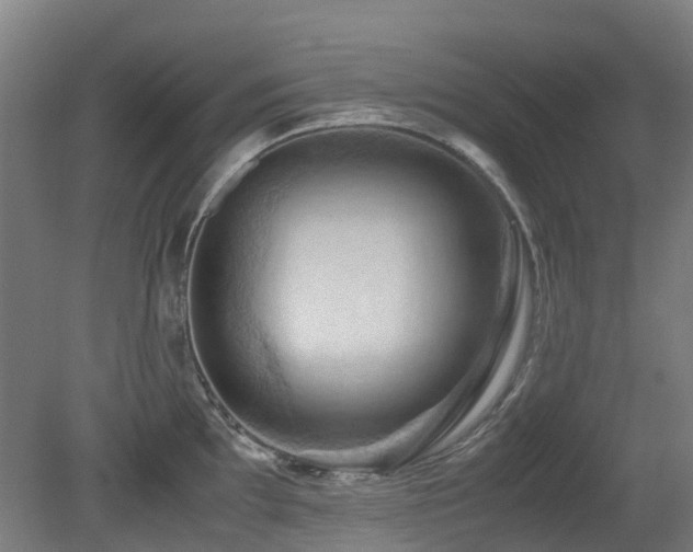 X0000079281097200611171019