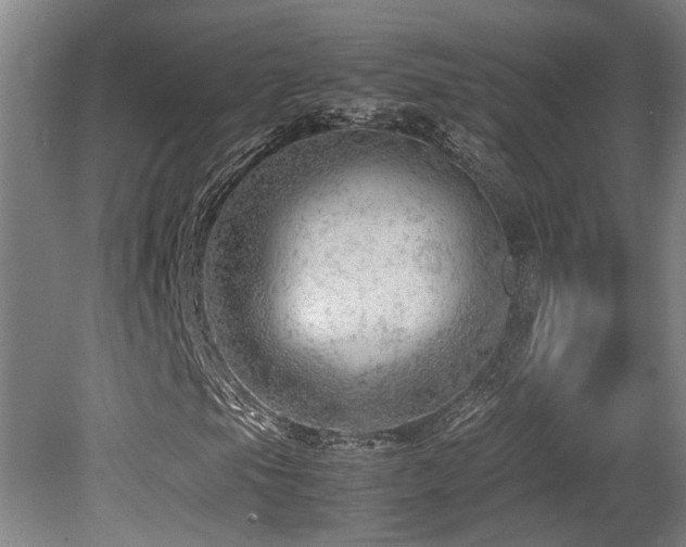 X0000079281105200611171018