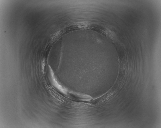 X0000079281106200611171018