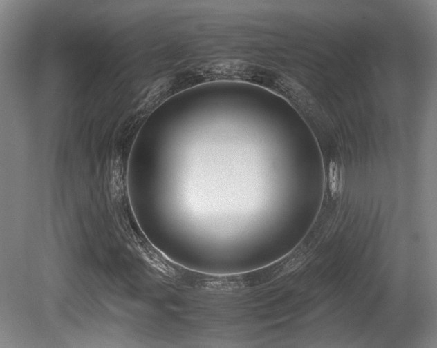 X0000079281107200611171018