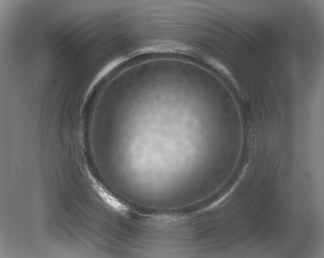 X0000079281114200611171018