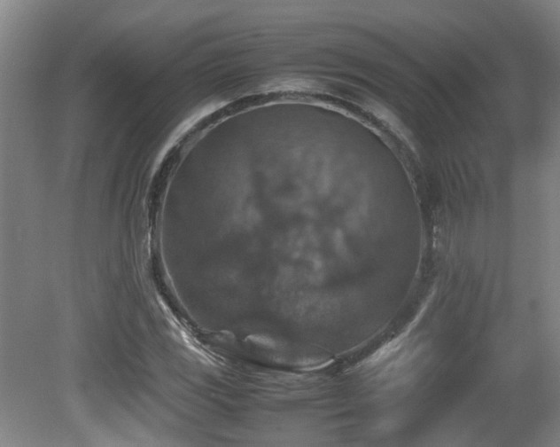 X0000079281117200611171018