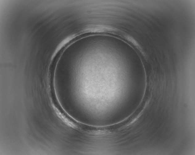 X0000079281122200611171018