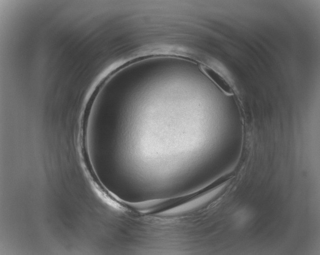 X0000079281136200611171018