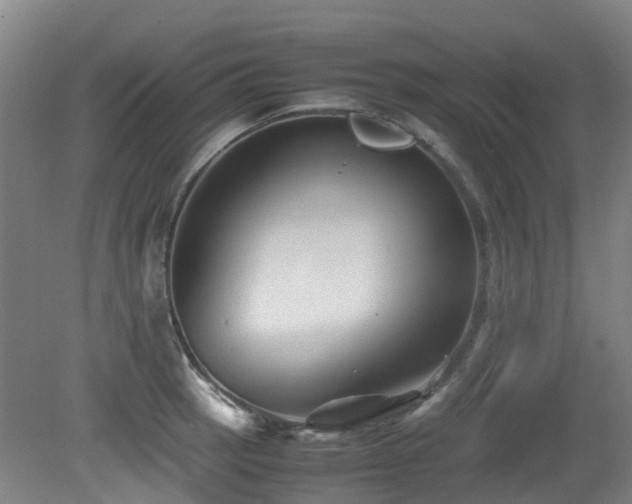 X0000079281137200611171018