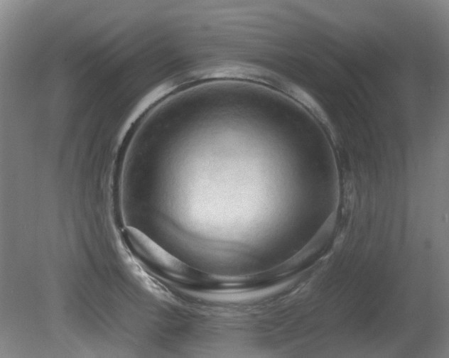 X0000079281138200611171018