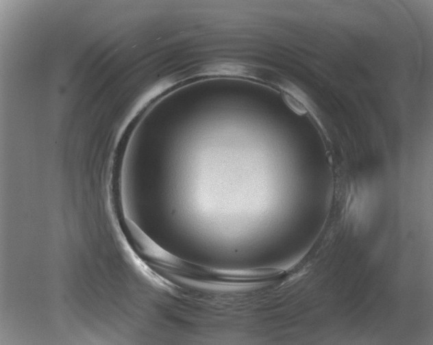 X0000079281139200611171018