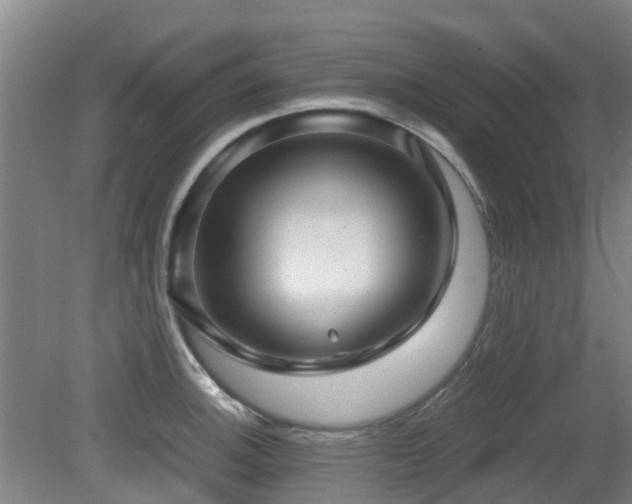 X0000079281140200611171018
