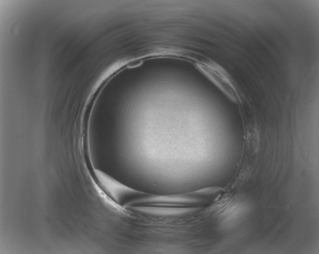 X0000079281143200611171018