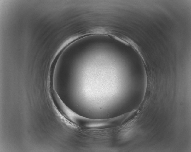 X0000079281147200611171019
