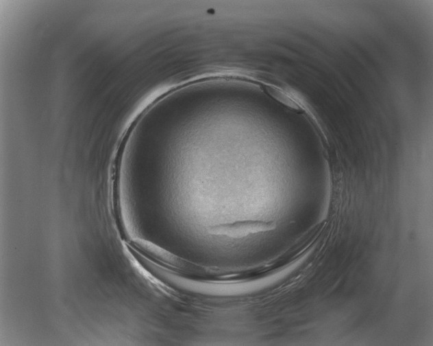 X0000079281151200611171019