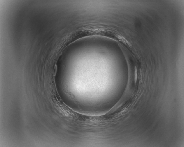 X0000079281153200611171018