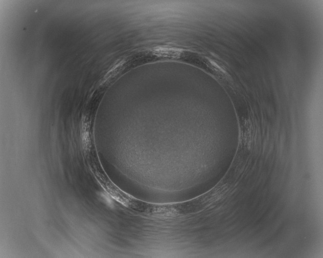X0000079281154200611171018