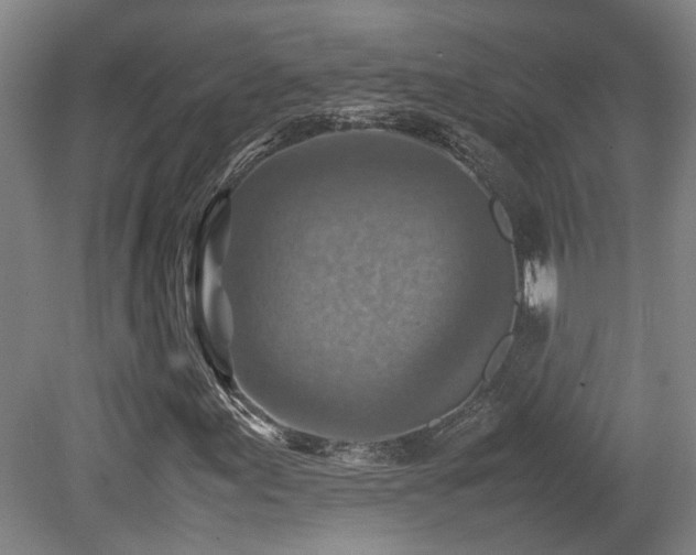 X0000079281155200611171018