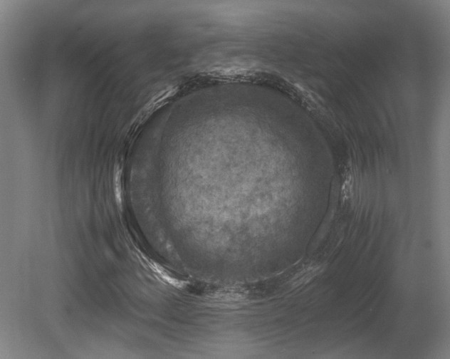 X0000079281156200611171018