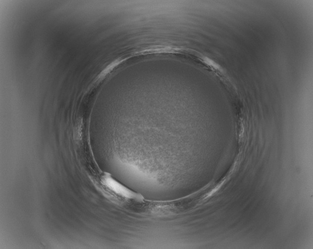 X0000079281161200611171018
