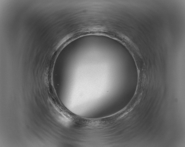 X0000079281162200611171018