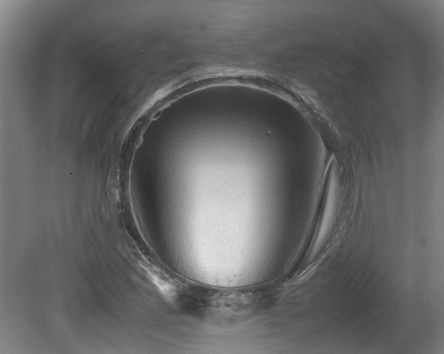 X0000079281165200611171018