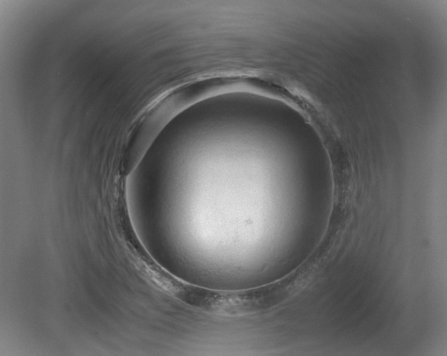 X0000079281169200611171018