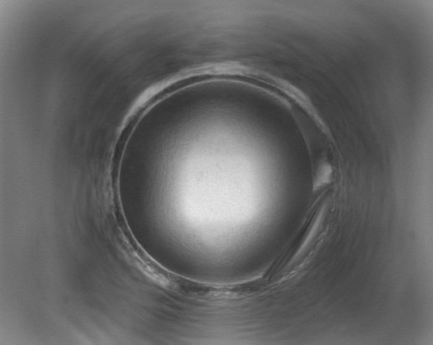 X0000079281176200611171017