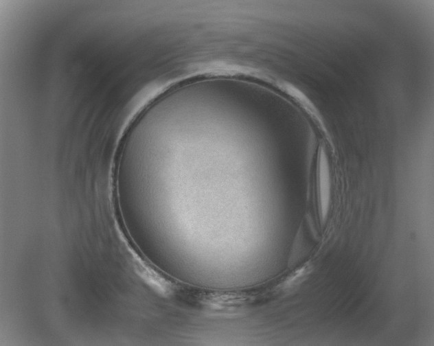 X0000079281183200611171017