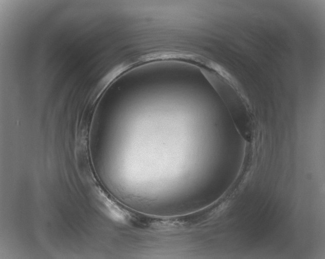 X0000079281185200611171017