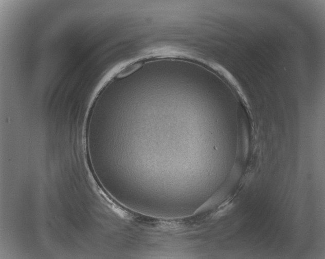 X0000079281191200611171017