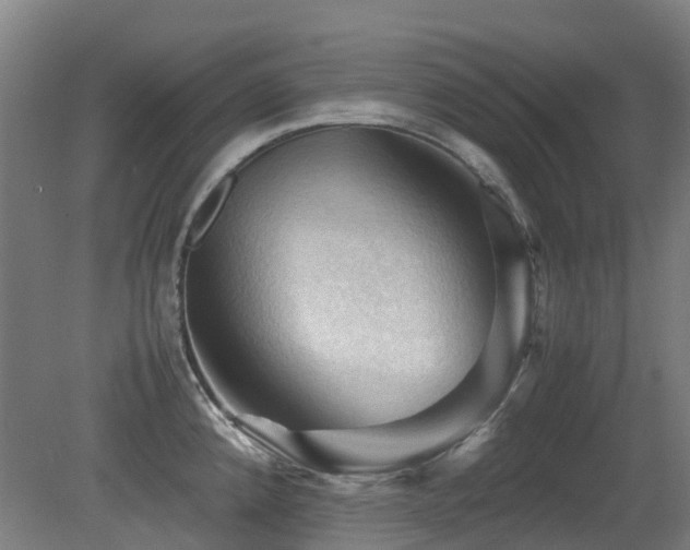X0000079281192200611171017