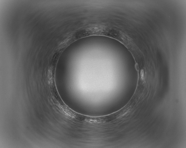 X0000079281203200611171016
