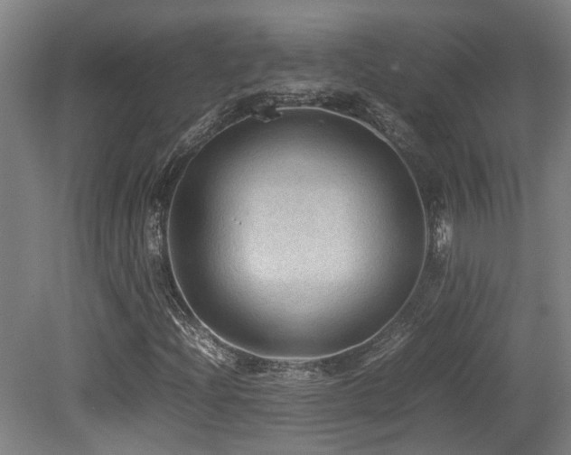 X0000079281204200611171016