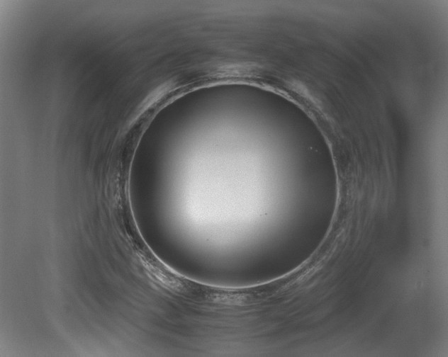 X0000079281211200611171016