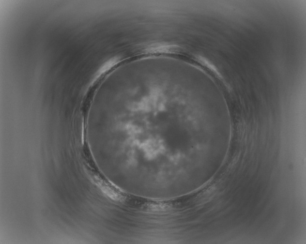 X0000079281219200611171017