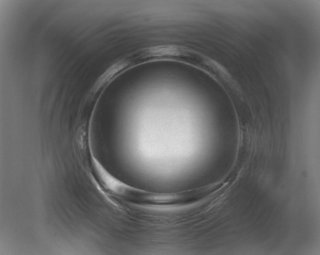 X0000079281225200611171017