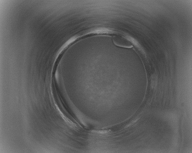 X0000079281229200611171017