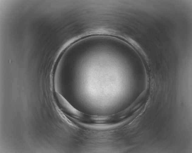 X0000079281238200611171017