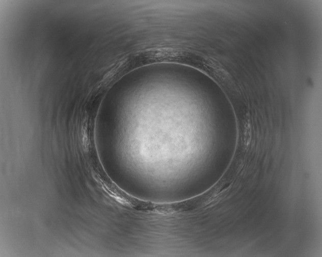 X0000079281250200611171016